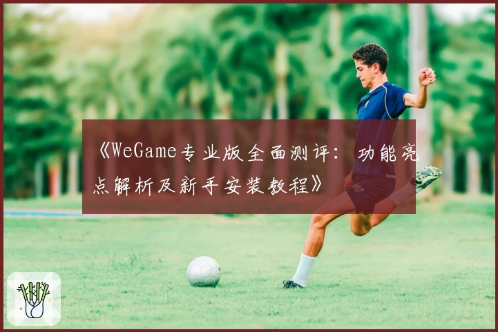 《WeGame专业版全面测评：功能亮点解析及新手安装教程》