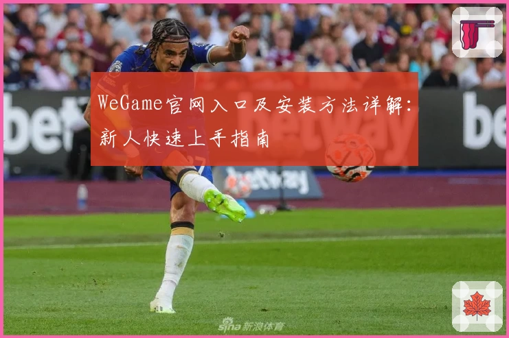 WeGame官网入口及安装方法详解：新人快速上手指南
