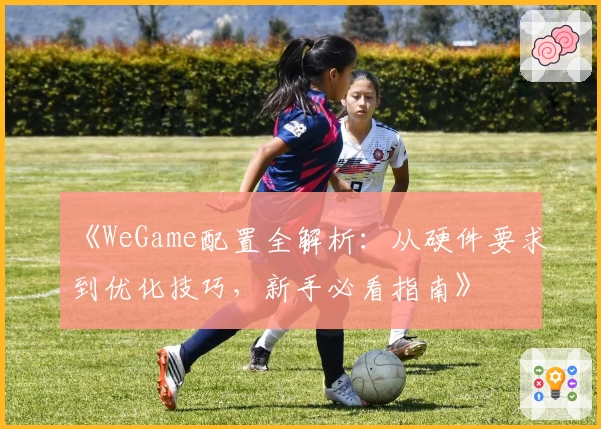 《WeGame配置全解析：从硬件要求到优化技巧，新手必看指南》